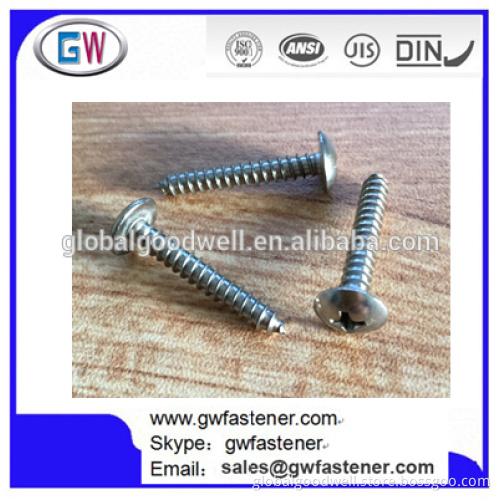 Stainless Truss Head Self Tapping Screw